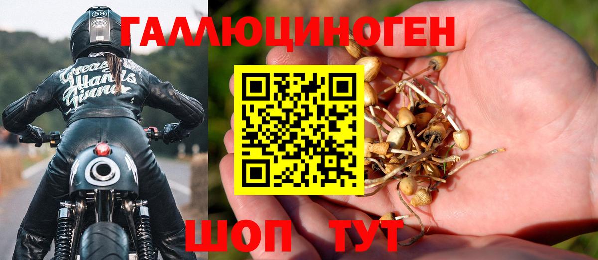 Псилоцибиновые грибы ЛСД Домодедово